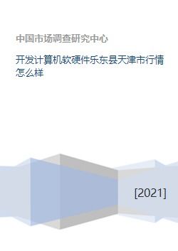 天津與樂東縣計算機軟硬件研發(fā)行業(yè)行情分析